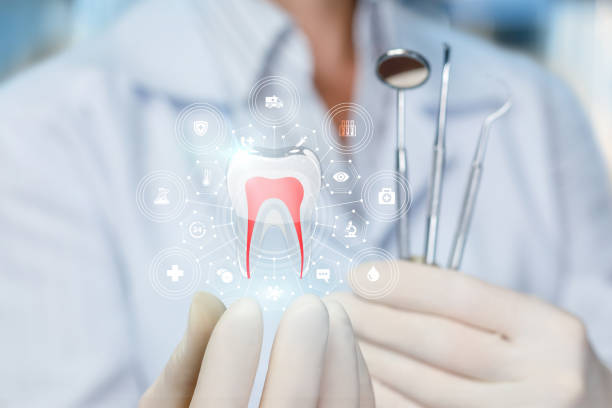 Best Traditional Braces  in Manvel, TX